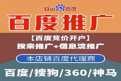 竞价推广策略：某电商平台的成功之路